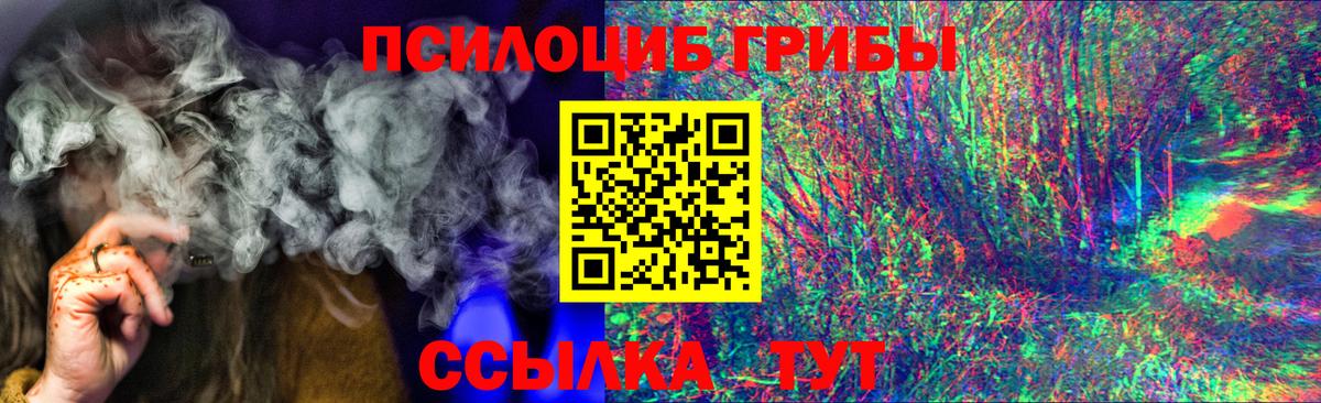 Галлюциногенные грибы прущие грибы  Вход с VPN  Сердобск 
