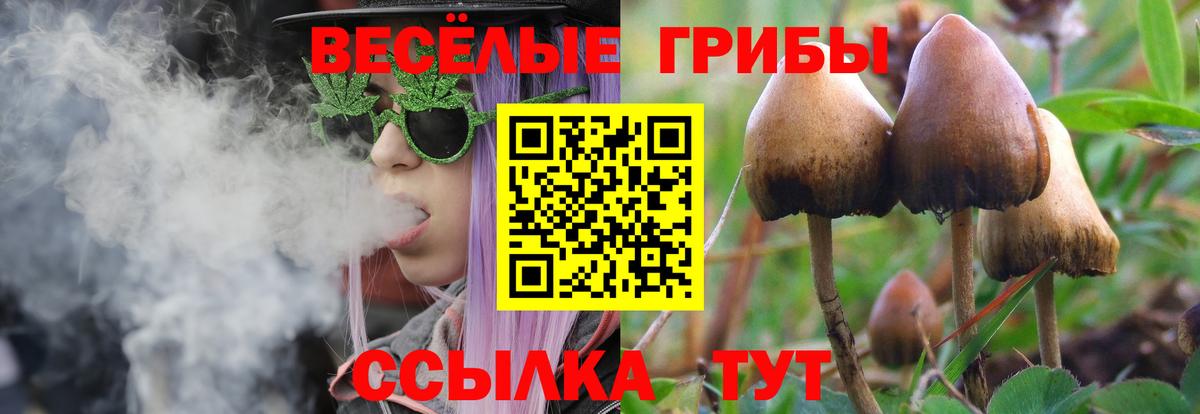 Галлюциногенные грибы прущие грибы Сердобск
